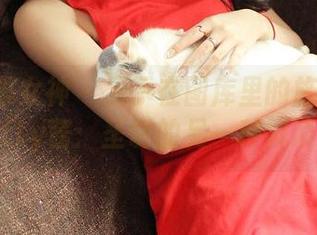 TGOD推女神 – 显示在图库里的施忆佳Kitty酱：圣诞的另一种解读